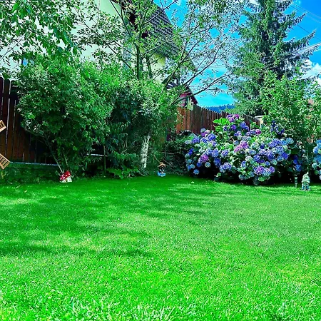 Gasthof Casa Ador 3*
